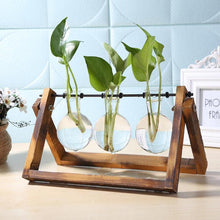 Load image into Gallery viewer, Glass and Wood Vase Planter Terrarium