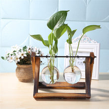 Load image into Gallery viewer, Glass and Wood Vase Planter Terrarium
