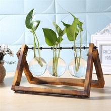 Load image into Gallery viewer, Glass and Wood Vase Planter Terrarium
