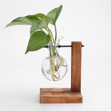 Load image into Gallery viewer, Glass and Wood Vase Planter Terrarium